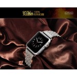 بند استیل الماسی ساعت COTEetCI W4 برای Apple Watch 42mm